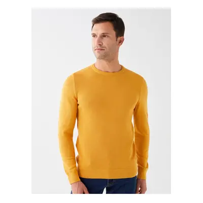 LC Waikiki Crew Neck Long Sleeve Men's Knitwear Sweater