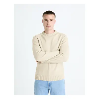 Celio Sweater Febasic - Men