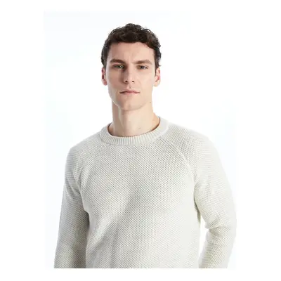 LC Waikiki Crew Neck Long Sleeve Men's Knitwear Sweater