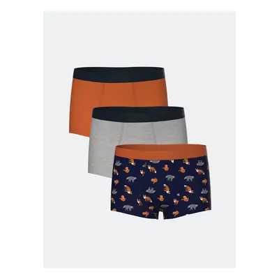 LC Waikiki Printed Boy's Boxer Set of