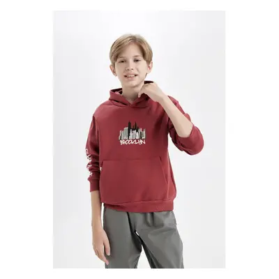 DEFACTO Boy Printed Hooded Kangaroo Pocket Sweatshirt