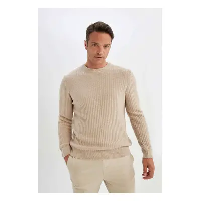 DEFACTO Men's Mink Standard Fit Regular Cut Crew Neck Jacquard Aviator Sweater