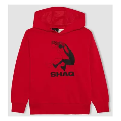 DEFACTO Boy's Sweatshirt