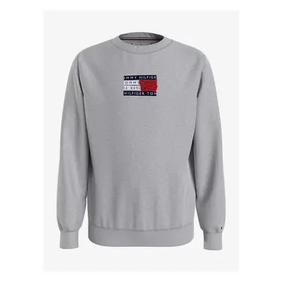 Gray boys sweatshirt Tommy Hilfiger - Boys