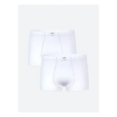 LC Waikiki Basic Boy Boxer 2-Pack