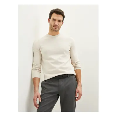 LC Waikiki Crew Neck Long Sleeve Men's Knitwear Sweater