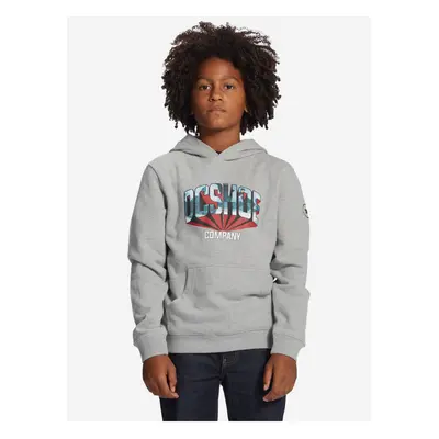 Light Grey Boys Hoodie DC Jahmir - Boys