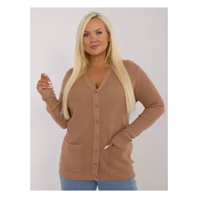 Brown large women's sweater with long sleeves