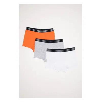 DEFACTO Size 3-Pack Boxer