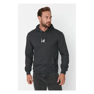 Trendyol Anthracite Regular/Normal Cut Hooded Oversleeve Embroidered Sweatshirt