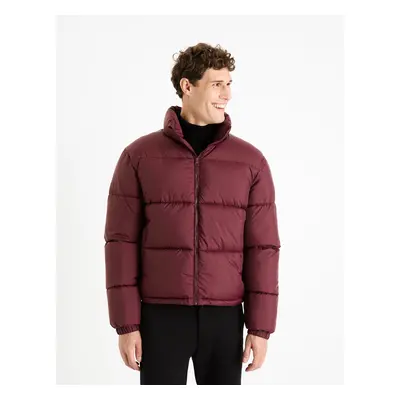 Celio Winter Jacket Fuparigi - Men