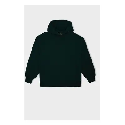 DEFACTO Relax Fit Hooded Thick Casual Basic Plain Sweatshirt