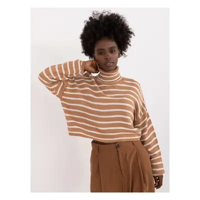 Brown short striped turtleneck sweater