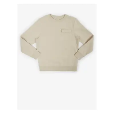 Beige Boys' Sweatshirt with Tom Tailor Pocket - Boys