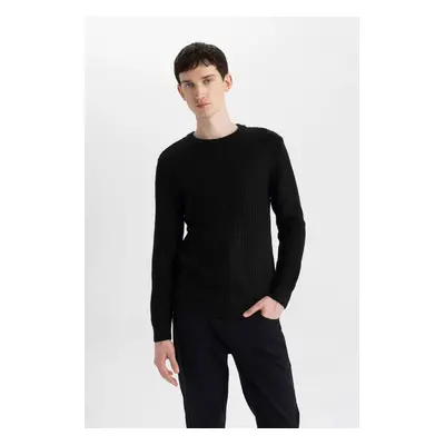 DEFACTO Men's Black Standard Fit Regular Cut Crew Neck Jacquard Aviator Sweater