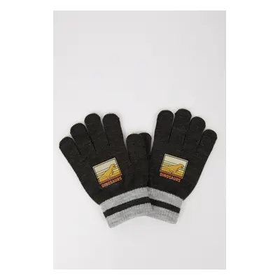 DEFACTO Boy Printed Knitted Gloves