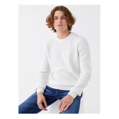 LC Waikiki Crew Neck Long Sleeve Men's Knitwear Sweater