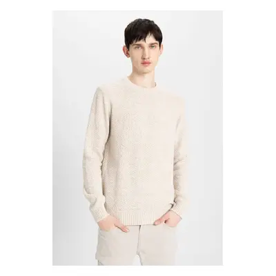 DEFACTO Men's Beige Standard Fit Regular Cut Crew Neck Textured Basic Knitwear Sweater