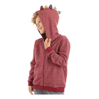 Denokids Dragon Boy Hooded Sweatshirt