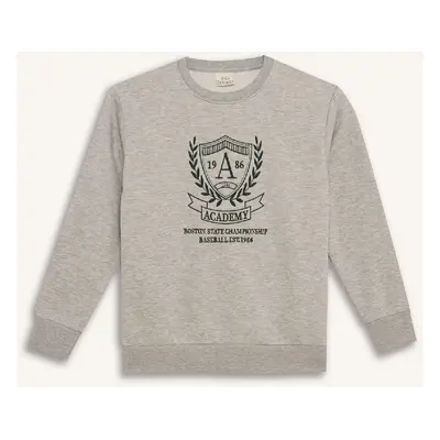 DEFACTO Boy Regular Fit Crew Neck Printed Soft Furry Inside Sweatshirt