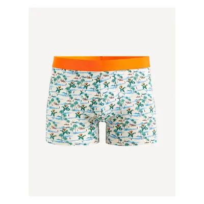 Celio Patterned Boxer Shorts Giboparadi - Men's