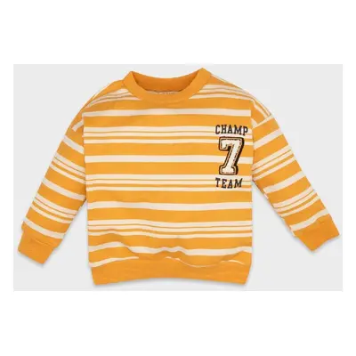 DEFACTO Baby Boy Crew Neck Striped Soft Furry Sweatshirt