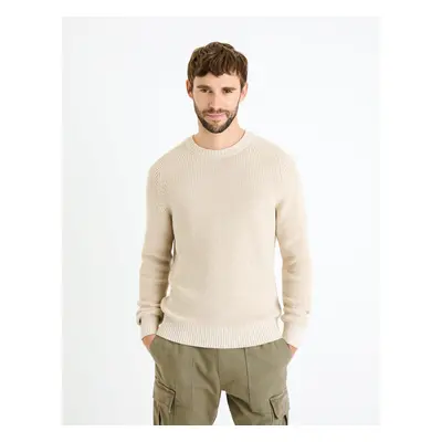 Celio Sweater Fesweet - Men's