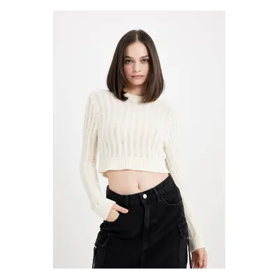 DEFACTO Regular Fit Crop Crew Neck Knitted Hole Knitwear Sweater