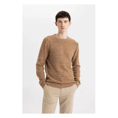 DEFACTO Men's Brown Standard Fit Regular Cut Crew Neck Textured Basic Knitwear Sweater