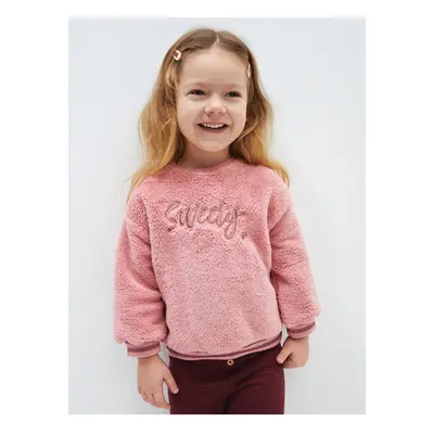 LC Waikiki Lw - Crew Neck Long Sleeve Plush Baby Girl Sweatshirt with Embroidery Detail