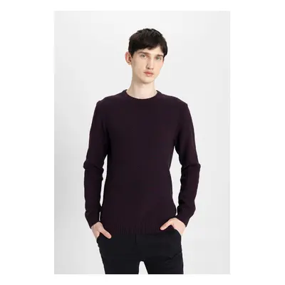 DEFACTO Men's Claret Red Standard Fit Regular Cut Crew Neck Textured Basic Knitwear Sweater