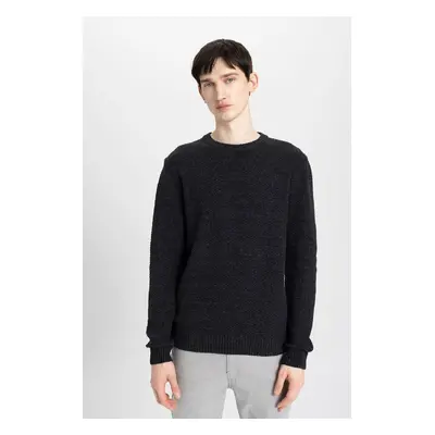 DEFACTO Men's Anthracite Standard Fit Regular Cut Crew Neck Textured Basic Knitwear Sweater