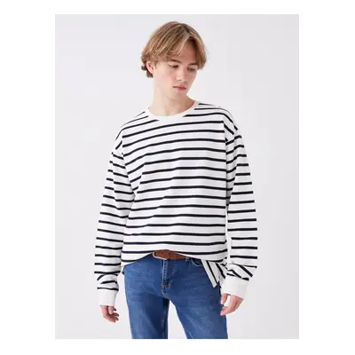 LC Waikiki Men's Crew Neck Long Sleeve Striped T-Shirt