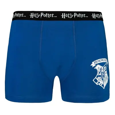 Men&#039;s boxer HARRY POTTER - Frogies