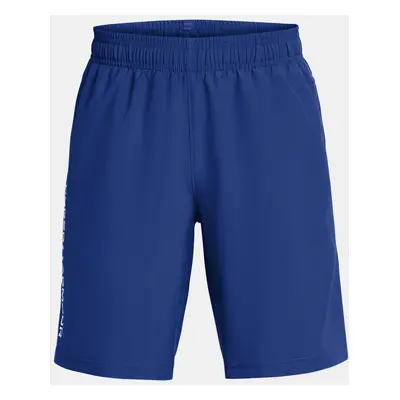 Under Armour Boys' shorts UA Tech Woven Wordmark Short - Boys