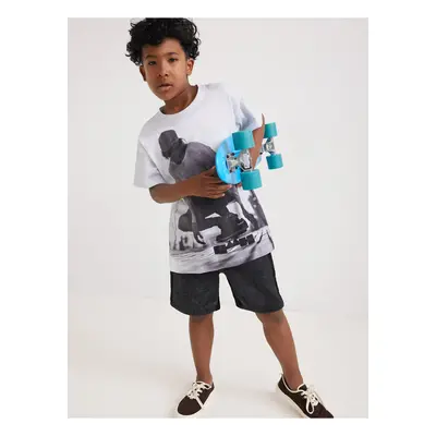 Grey-white boys' T-shirt with print Desigual Mango - Boys