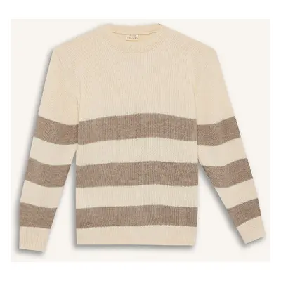 DEFACTO Boy Regular Fit Crew Neck Striped Knitwear Sweater