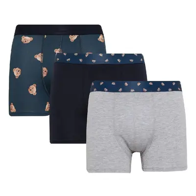 DEFACTO Animal Printed 3-Pack Boxer