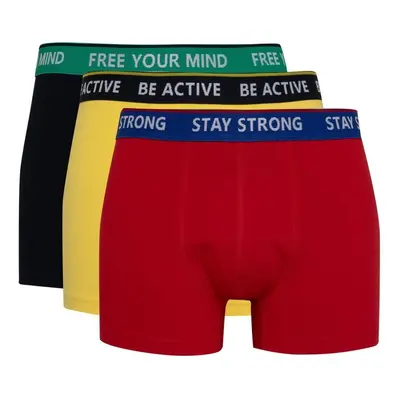 DEFACTO 3-Pack Boxer