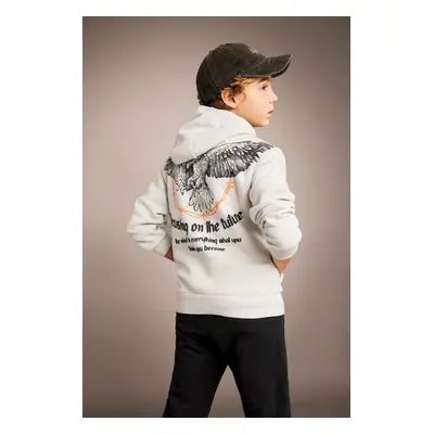 DEFACTO Boy's Printed Hooded Thick Sweatshirt