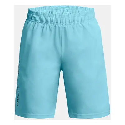 Under Armour Woven Wdmk Shorts Children's Shorts