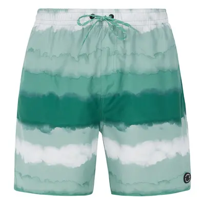 Men's beach shorts Protest PRTHAMSEY