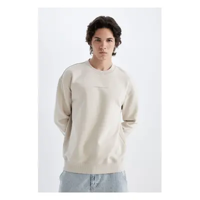 DEFACTO Boxy Fit Crew Neck Printed Sweatshirt X8282AZ24AU