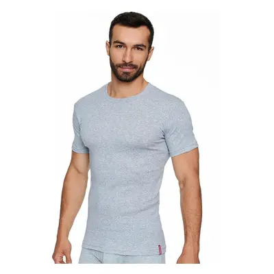 T-shirt Henderson BT-100 M-3XL grey j27