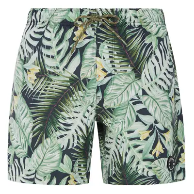 Men's beach shorts Protest PRTGLORY