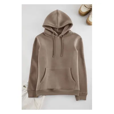 Trendyol Mink Basic Regular Cut Hooded Sweatshirt with Fleece Inside Kangaroo Pocket