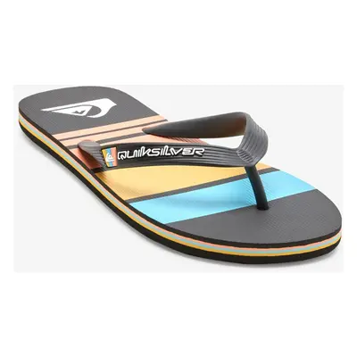 Men's flip-flops Quiksilver MOLOKAI STRIPE