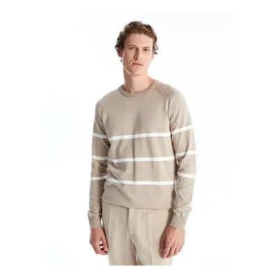 LC Waikiki Crew Neck Long Sleeve Striped Men's Knitwear Sweater