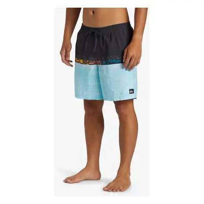 Men's shorts swimwear Quiksilver EVERYDAY WORDBLOCK VOLLEY