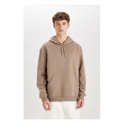 DEFACTO Regular Fit Hooded Basic Sweatshirt